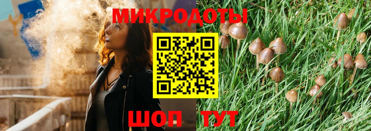 Гурьевск  Галлюциногенные грибы Psilocybine cubensis  Вход с VPN  Галлюциногенные грибы ЛСД 